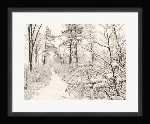Framed Winter Walk Print