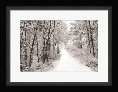 Framed Snowy Lane Print