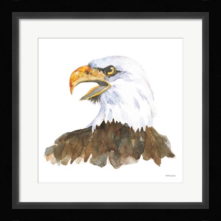 Framed Bald Eagle Print