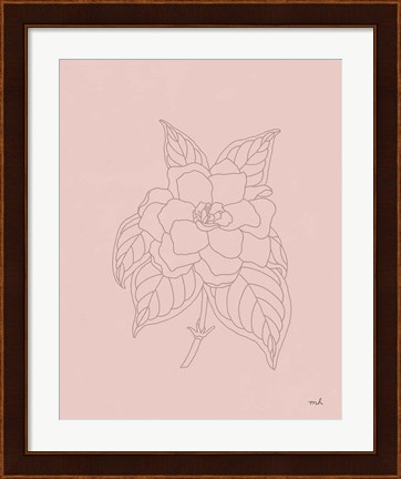 Framed Gardenia Line Drawing Pink Print
