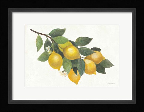 Framed Lemon Branch I Print