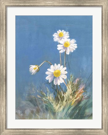 Framed White Daisies No Butterfly Print