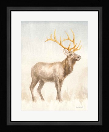 Framed Regal Wild I Print