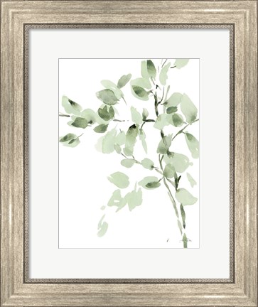 Framed Cascading Branches II Print