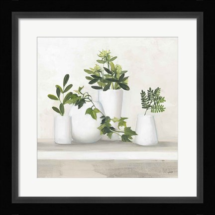 Framed Plant Life III Print