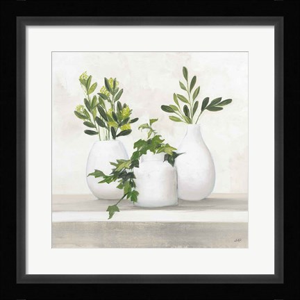 Framed Plant Life II Print