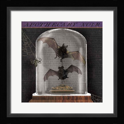 Framed Apothecary Noir IV Print