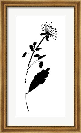 Framed Silhouette Floral III Print