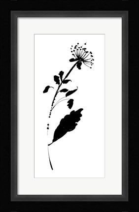 Framed Silhouette Floral III Print