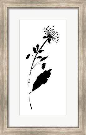 Framed Silhouette Floral III Print