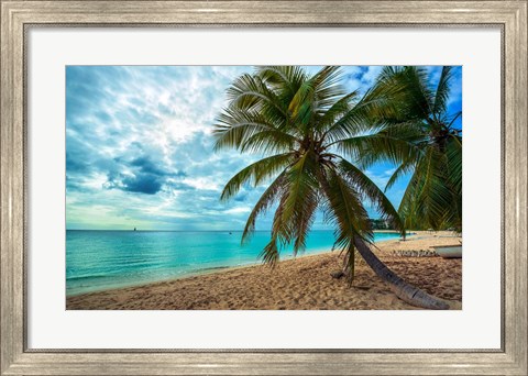 Framed Palm Tree Dreams Print
