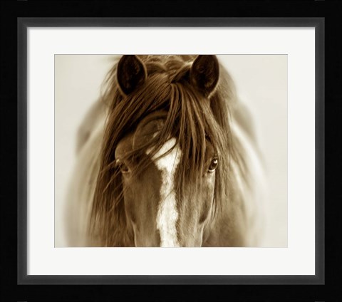 Framed Ghost Horse Print