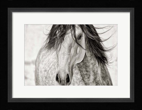 Framed My Beautiful Mane Print