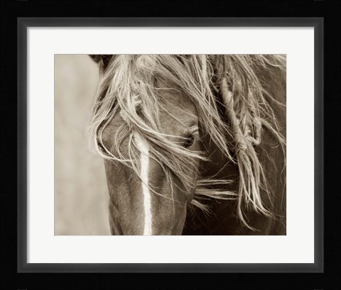 Framed Wind Knots Print