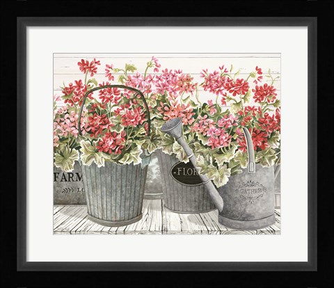 Framed Potted Geranium Mix II Print