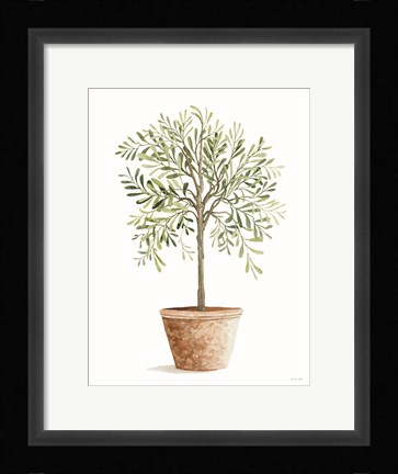Framed Topiary II Print