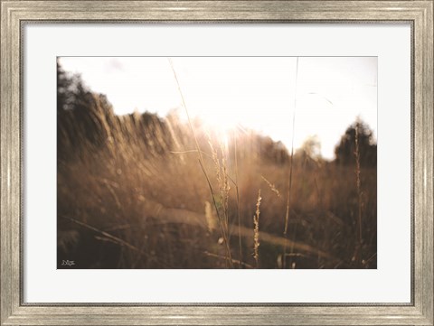 Framed Bright Sun Haze I Print