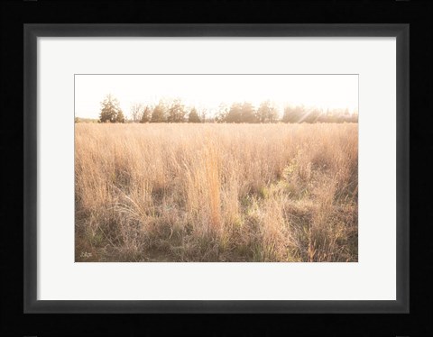 Framed Bright Sun Haze III Print