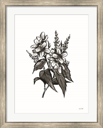 Framed Pen and Ink Wildflower I Print