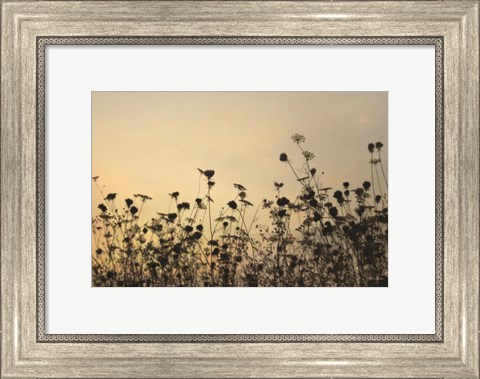Framed Sunset Lace Print