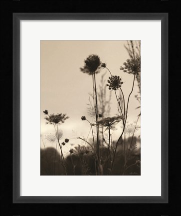 Framed Queen Anne Silhouettes Print