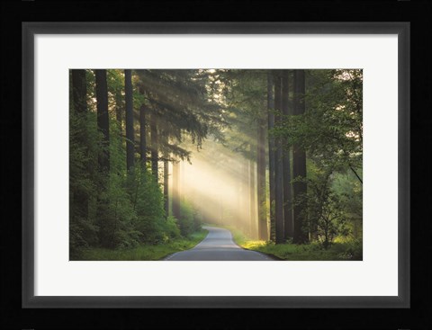 Framed Road Print