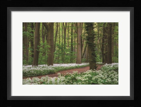 Framed White Carpet Print