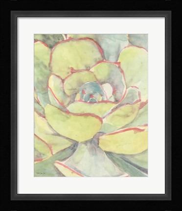 Framed Succulent Bloom 2 Print