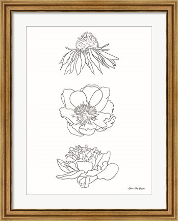 Framed Hand Drawn Flowers Print