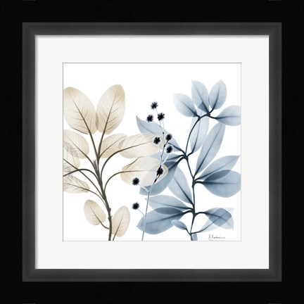 Framed Solar Opposites 1 Print