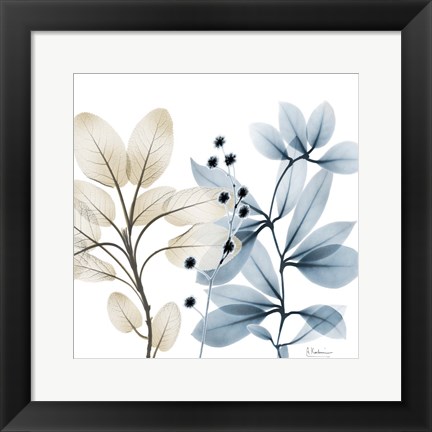 Framed Solar Opposites 1 Print