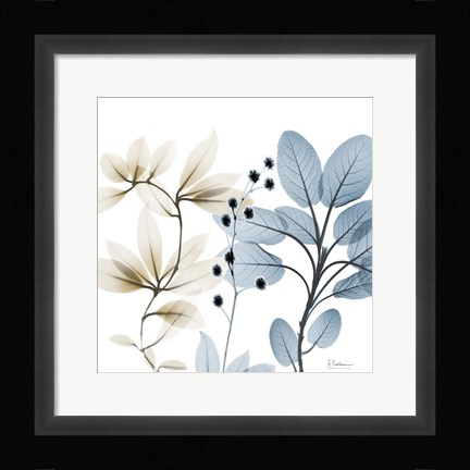 Framed Solar Opposites 2 Print