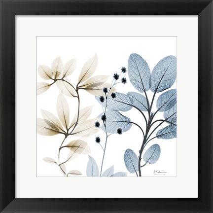 Framed Solar Opposites 2 Print