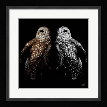 Framed Still a Life Print