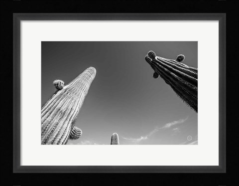 Framed Three Kings Print