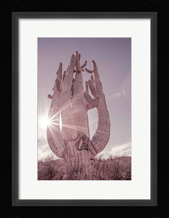 Framed Dusty Desert Saguaro Print