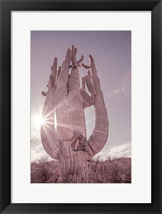 Framed Dusty Desert Saguaro Print