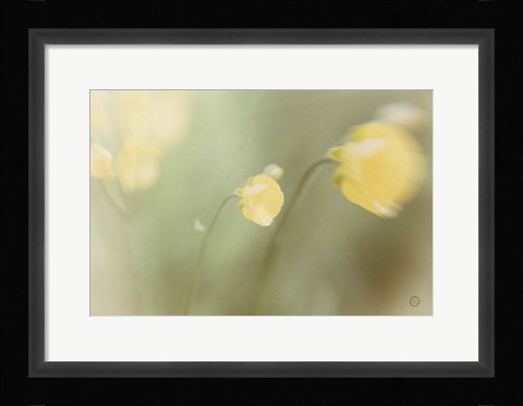 Framed Field Trip Print