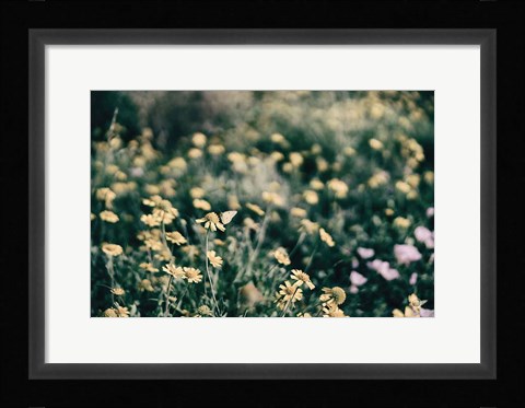Framed Field Friends Fade Print