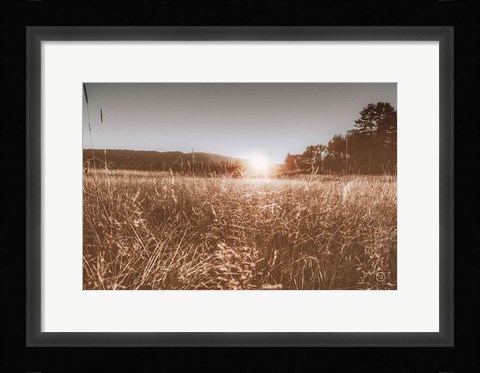 Framed Fields of Gold Print