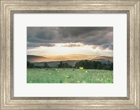 Framed Laying in the Flowers Print