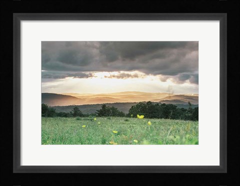 Framed Laying in the Flowers Print