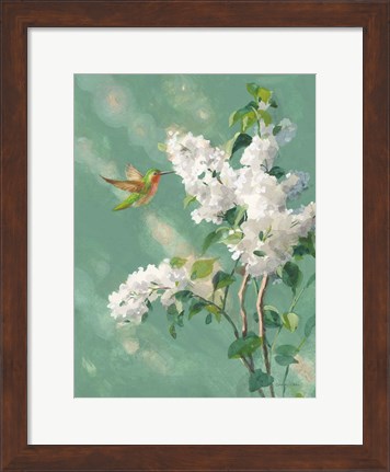 Framed Hummingbird Spring I Print