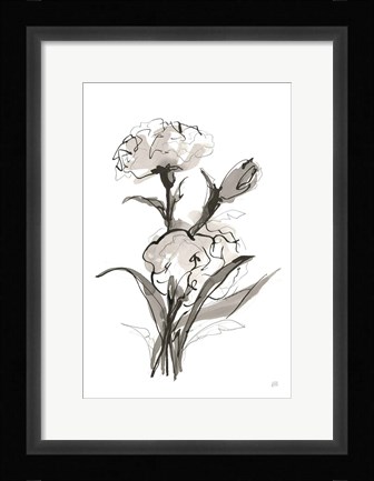 Framed Carnation II Print
