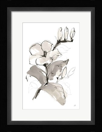 Framed Magnolia II Print
