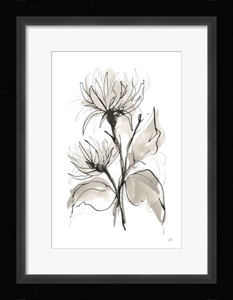Framed Chrysanthemum II Print