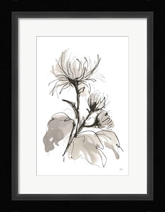 Framed Chrysanthemum I Print
