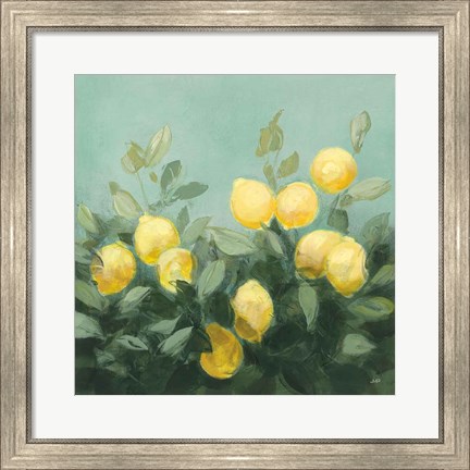 Framed Lemon Grove I Print