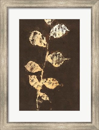 Framed Pure Nature 4 Print
