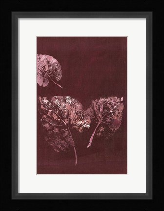 Framed Pure Nature 5 Print